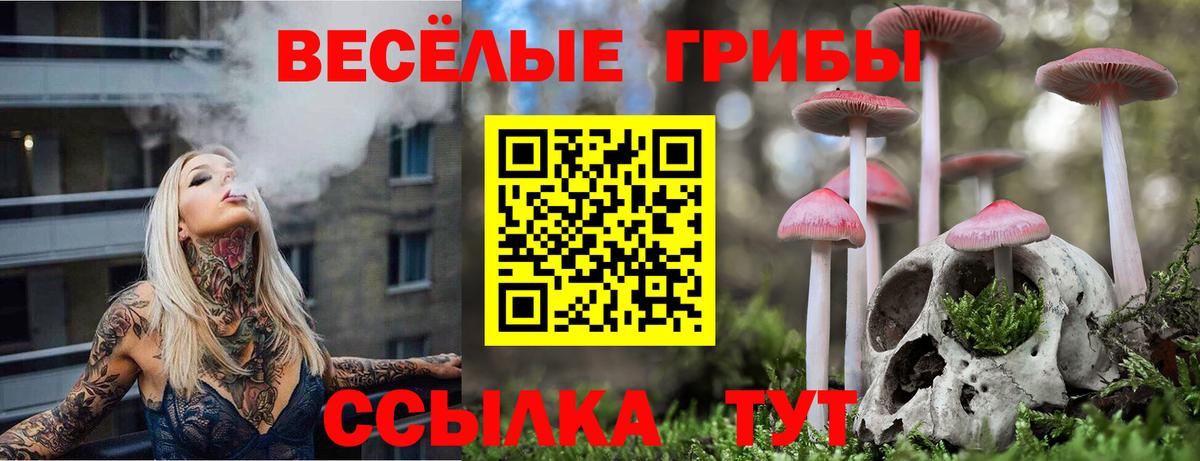 Псилоцибиновые грибы Psilocybine cubensis Каменка