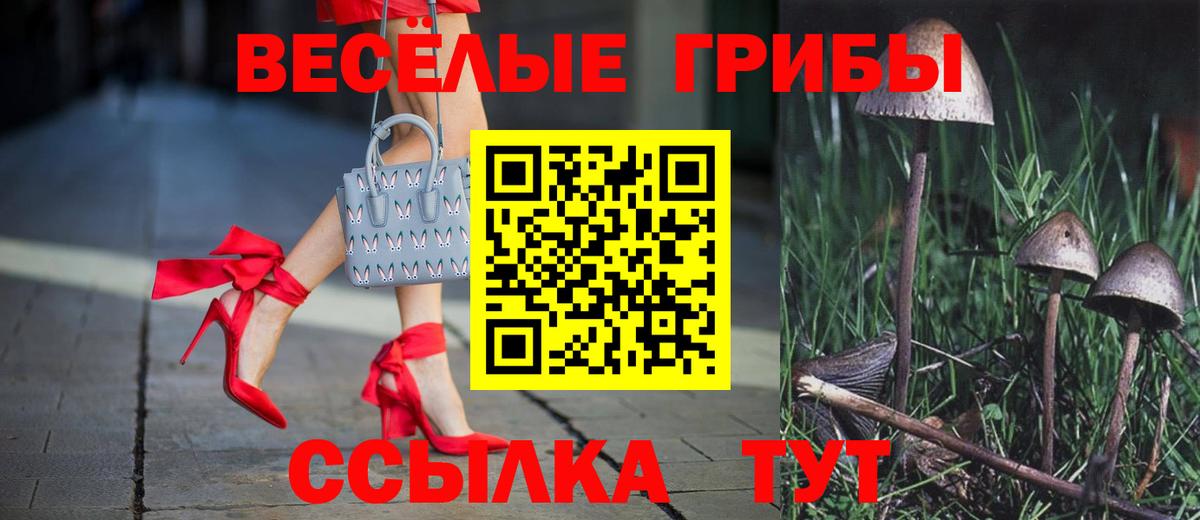 Каменка  Галлюциногенные грибы мухоморы  Вход с VPN  Галлюциногенные грибы мухоморы 